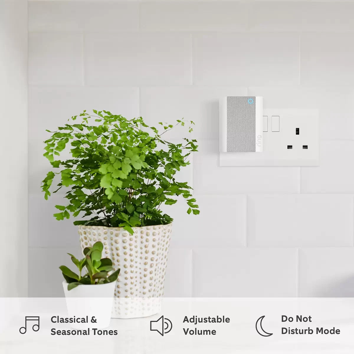 Ring Battery Video Doorbell Plus with Chime and Additional Quick Release Battery6