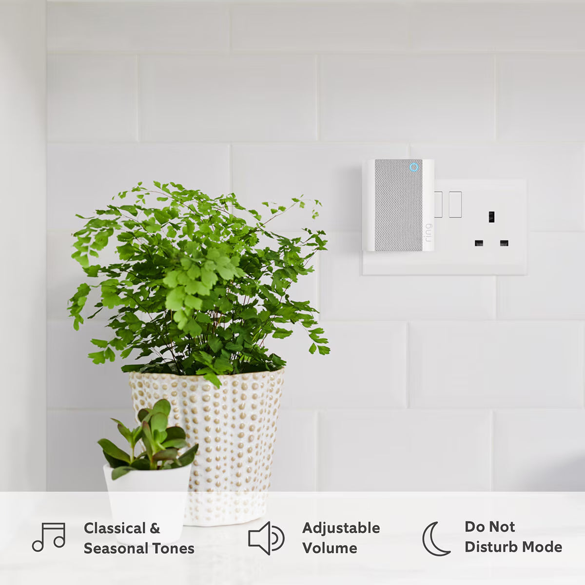 Ring Doorbell plus with Chime and Additional Quick Release Battery